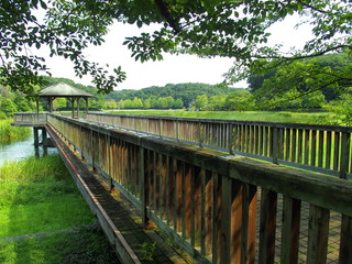 公園の木橋と東屋