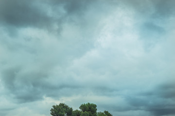 Cielo y arbol