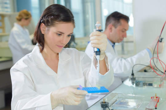 searching for new medicine