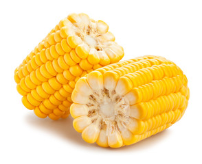 corn - Powered by Adobe