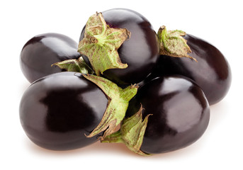 eggplant © bergamont