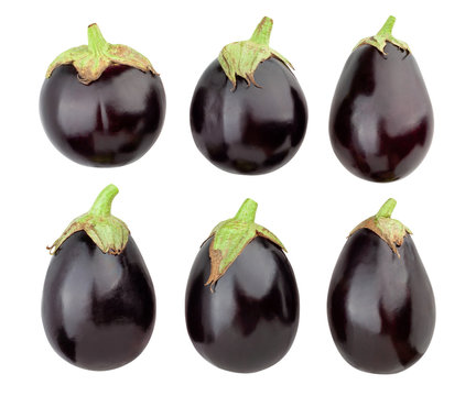 eggplant