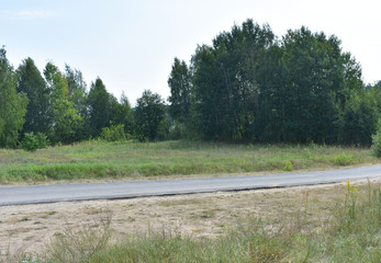 A dirt road among nature