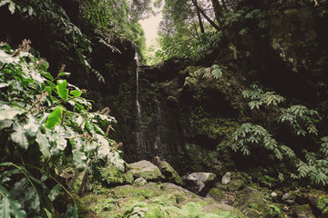 Obraz premium Foreste moderne