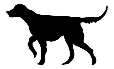 Black silhouette of setter, hunting dog. Freehand animal illustration for logos, banners, posters, prints, cards, advertising