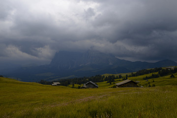 Overcast day at the Alpe Di Siusi