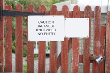 Japanese knotweed caution no entry sign on garden gate