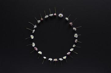 Flower Border Top View