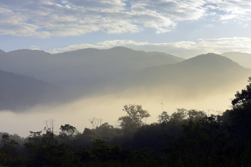 The forest and the hills with morning mist