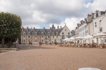 Naklejka premium Blois Chateau