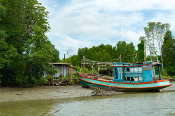Fototapeta na wymiar Boat and Mangrove forest, view from the water at a low tide period in Thailand.