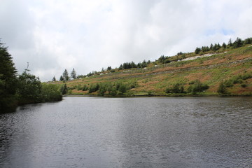 Nature Landscape Lake Background