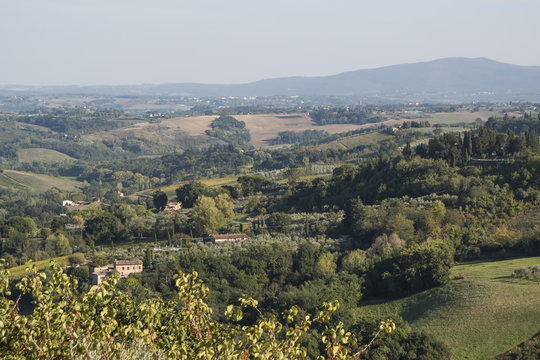 View on Toskan fields