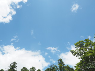 日本の夏空