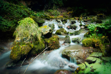 Nature rainforest river cascade.