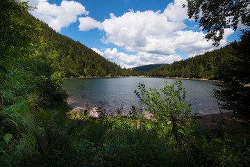 Lac de Kruth-Wildenstein in den Vogesen
