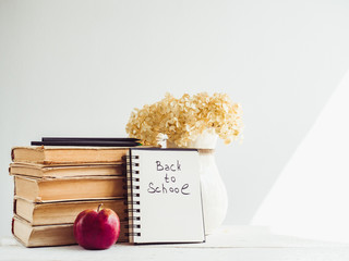 Vintage books, pencils, notepad with a handwritten inscription and an apple on a wooden, white table. Close-up, isolated. Back to school