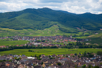 Landschaft im Elsass im Sommer