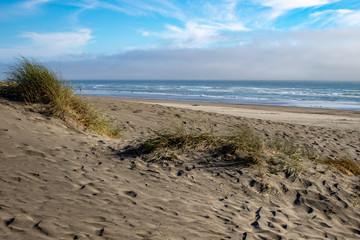 Shore of the Oregon Coast in the Pacific Northwest