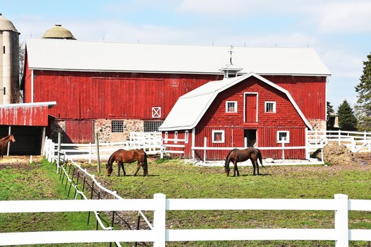 Barns And Horses