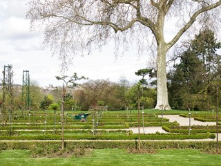 Parc de Bagatelle/Paris,France