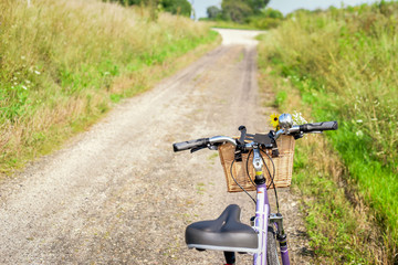 Fototapeta na wymiar bike with flowers in basket on side of bicycle path