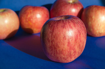 Pink ripe apples on a blue background