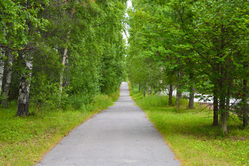 Fototapeta na wymiar Straight pathway between green grasses and trees