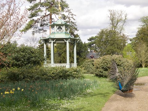 Parc de Bagatelle/Paris,France