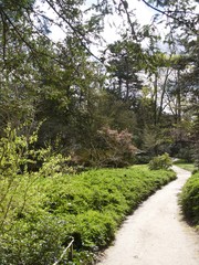 Parc de Bagatelle/Paris,France