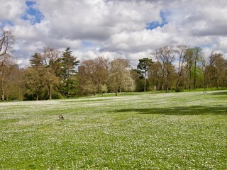 Parc de Bagatelle/Paris,France