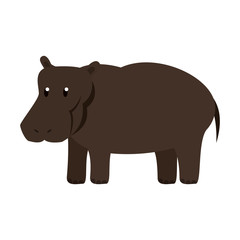 Hippo wild animal vector illustration graphic design