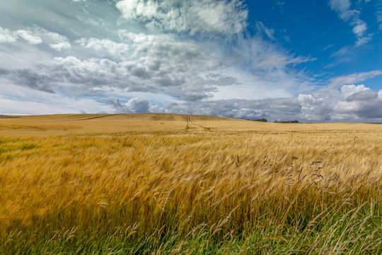 Countryside around Stonehaven