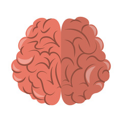 Human brain cartoon vector illustration graphic design