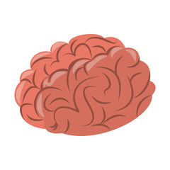 Human brain cartoon vector illustration graphic design