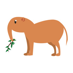 Anteater wild animal cartoon vector illustration graphic design