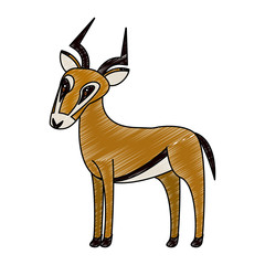 Antelope wild animal vector illustration graphic design