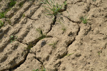 Trockenheit und Dürre