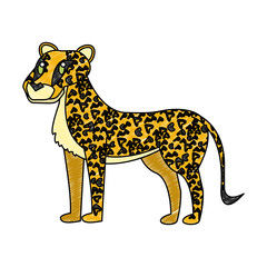 Leopard wild animal vector illustration graphic design