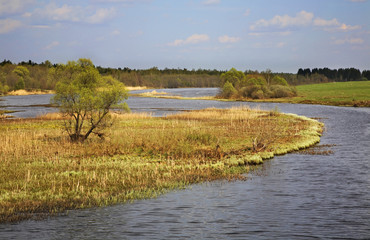 Big Puditsa river near Neklyudovo village. Tver region. Russia