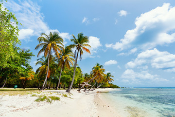 Idyllic beach at Caribbean