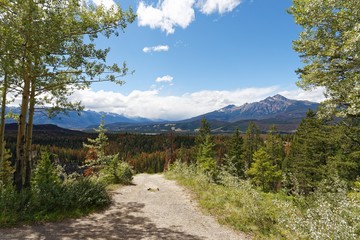 Obraz premium Maligne Lookout
