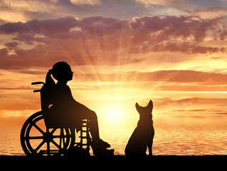 A disabled child in a wheelchair and her dog on a background of sea sunset