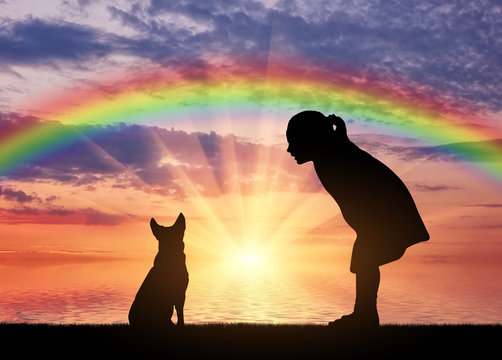 Собака на фоне заката мем Foster or Adopt. Don't Shop. Lucky dogs, Dogs, Crazy dog lady