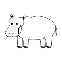 Hippo wild animal vector illustration graphic design