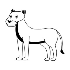Lioness wild animal vector illustration graphic design