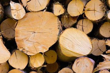 Wallpaper, background with a picture of pile of chopped fire wood - close up