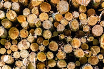Möbelaufkleber Wallpaper, background with a picture of pile of chopped fire wood © Wojciech