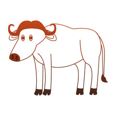 Buffalo wild animal vector illustration graphic design