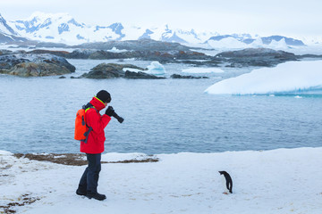 photographer and model, bird wildlife nature photography, tourist taking photo of penguin in Antarctica with big dslr camera and tele lens